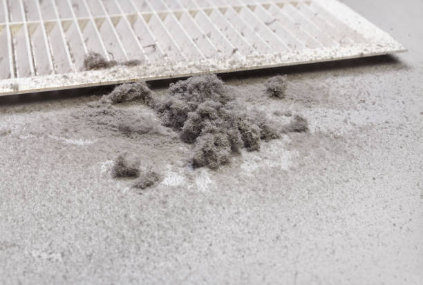 Best Emergency Air Duct Cleaning  in Eslon, CA