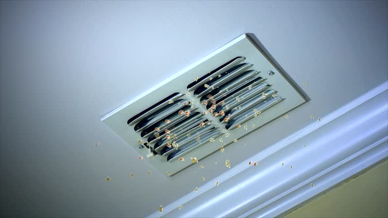 Best Best Air Duct Cleaning Company  in Eslon, CA